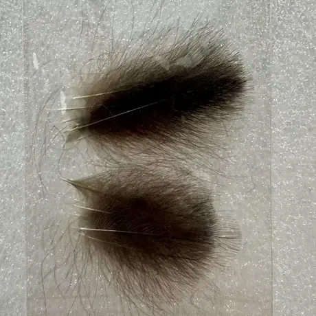 CDC Pera selektovana 20kom