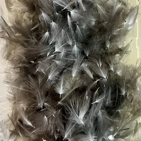 CDC Pera selektovana 20kom