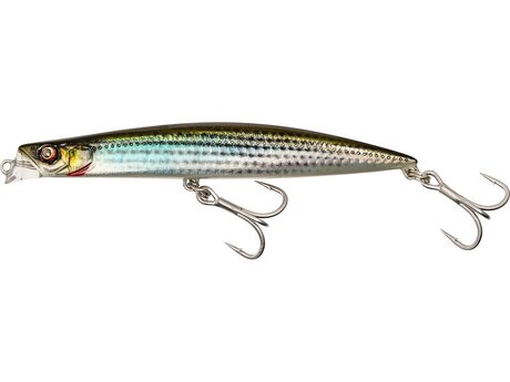DIGGIN' SARDINE   Boga Loca 13,5cm