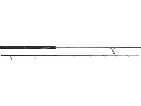 Westin W2 POWERSTICK  251cm 10g-50g