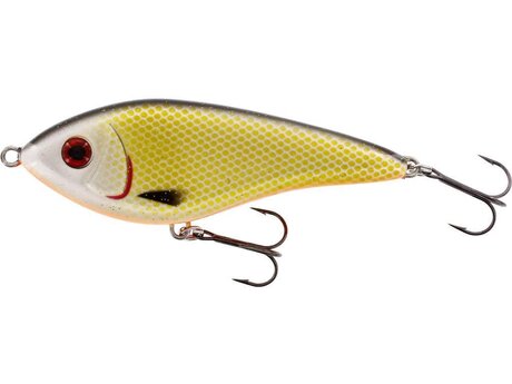 WESTIN SWIM GLIDEBAIT 3D Official Roach 8cm