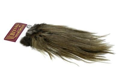 Coq de Leon Rooster Saddle - Silver Med.Pardo