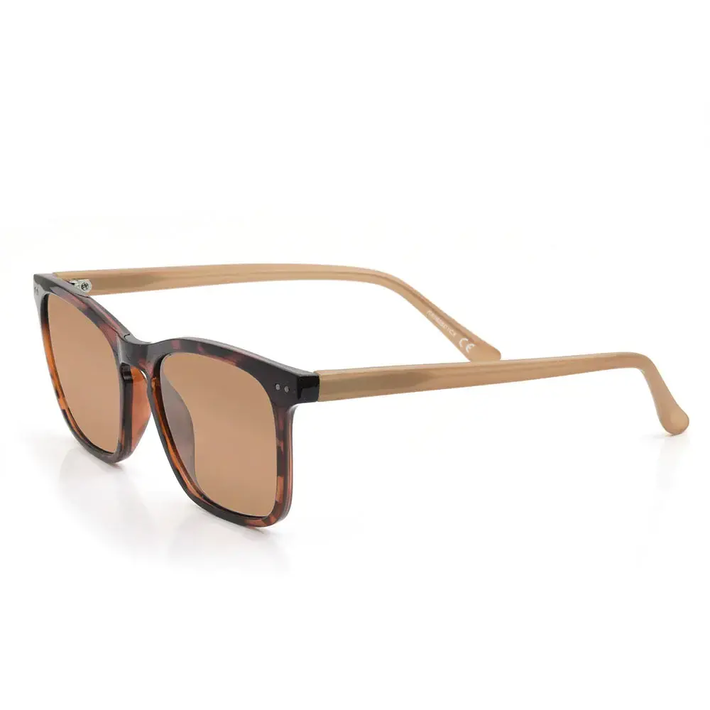 VISION SIR BRAON POLARFLITE
