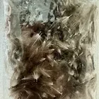 CDC Pera selektovana 20kom