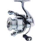 Kinetic STARDUST 4000 FD