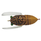 TIEMCO TRICK TROUT TINY CICADA 062