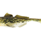 GUNNAR THE GOBY Spotted Goby 10cm