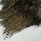 Coq de Leon Tailing Pack-Dark Parado