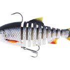 RICKY THE ROACH MULTI JOINTED R2F Real Roach