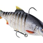 RICKY THE ROACH MULTI JOINTED R2F Real Roach