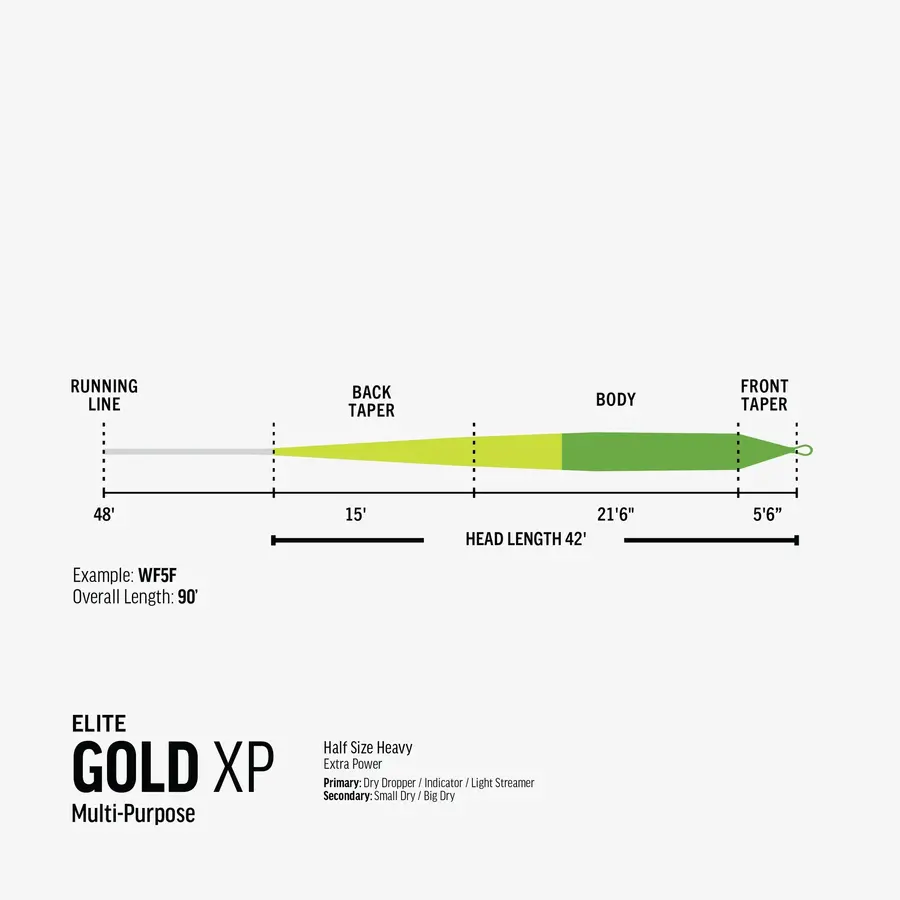RIO Elite Gold XP WF-6-F