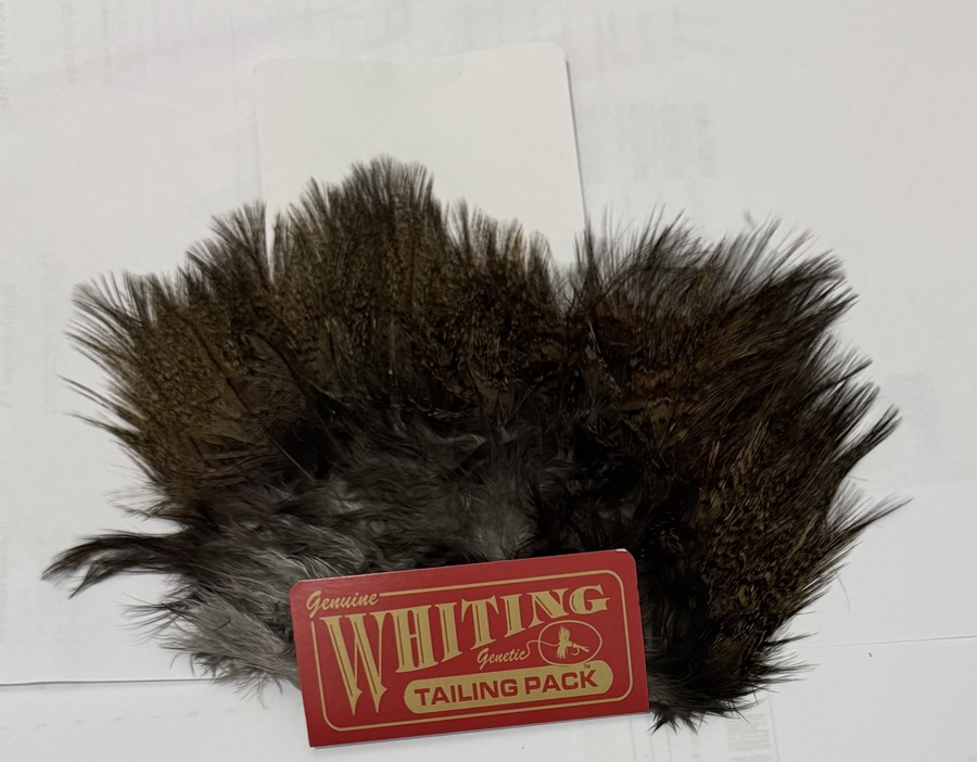 Coq de Leon Tailing Pack-Dark Parado